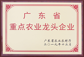 m6米乐官方网站登录入口APP下载